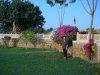 Photo 078